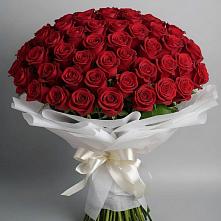 Букет 101 Красная роза Блэк Мэджик в Истре Истринский район