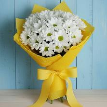 Букет цветов из:  Хризантемы в Истре Истринский район