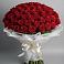 Букет 101 Красная роза Блэк Мэджик в Истре Истринский район