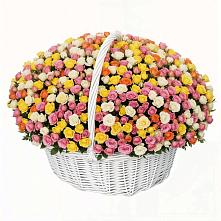 Премиум букет из: Розы #REPLACE_PRED# Истре Истринский район