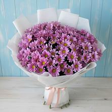 Букет цветов из:  Хризантемы в Истре Истринский район