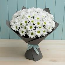 Букет цветов из:  Хризантемы в Истре Истринский район