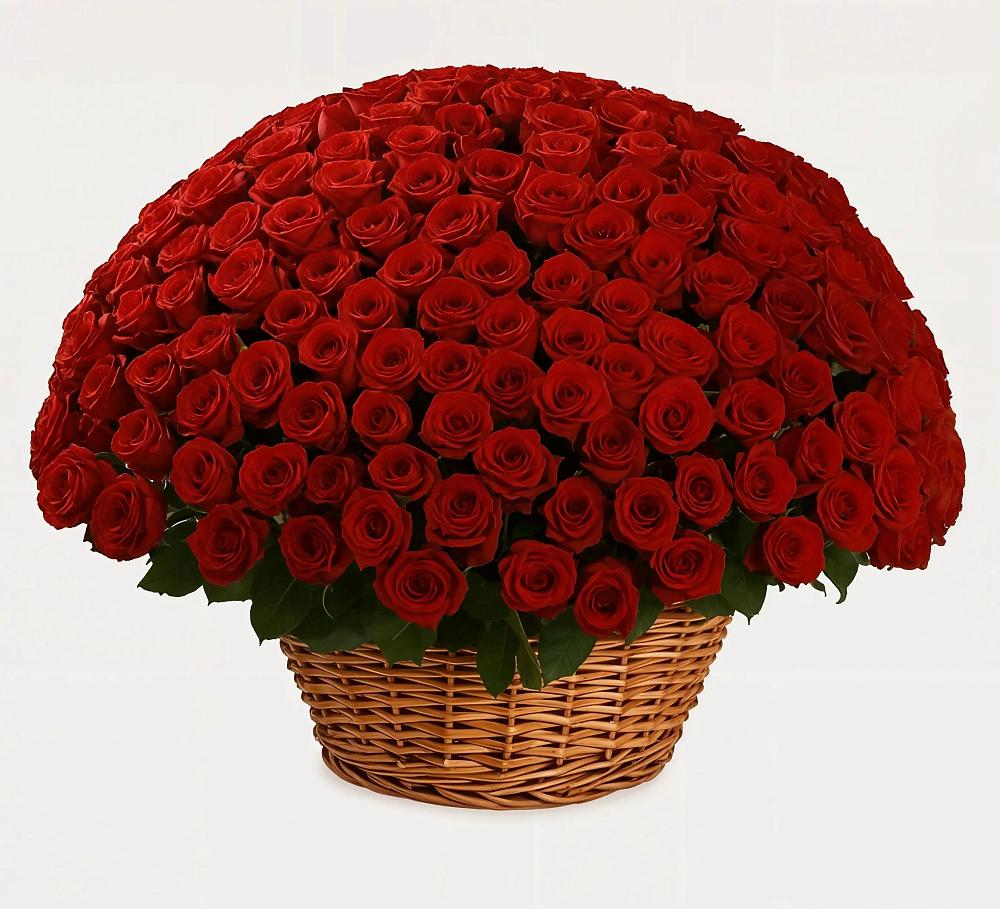 Премиум букет из: Розы в Истре Истринский район