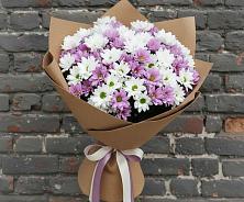 Букет цветов из:  Хризантемы в Истре Истринский район