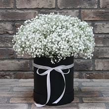 Цветочная композиция из Гипсофила в шляпной коробке #REPLACE_PRED# Истре Истринский район