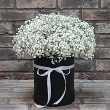 Цветочная композиция из Гипсофила в шляпной коробке в Истре Истринский район