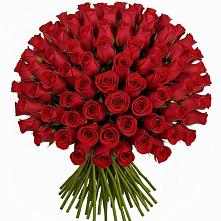 Букет Красные розы Чери Лав #REPLACE_PRED# Истре Истринский район