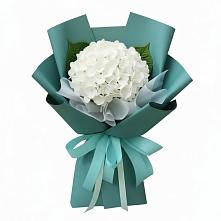 Букет цветов из:  Гортензия в Истре Истринский район